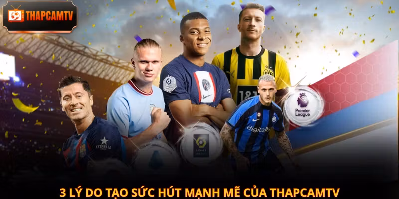 3 lý do tạo sức hút mạnh mẽ của Thapcamtv