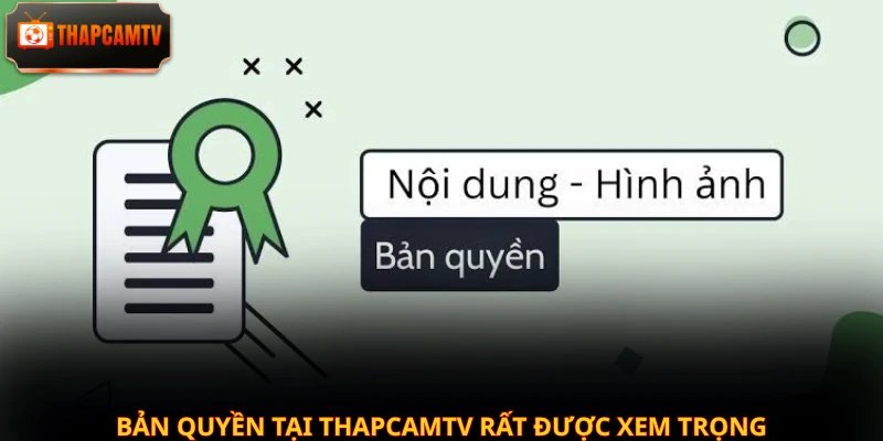 Bản quyền tại Thapcamtv rất được xem trọng