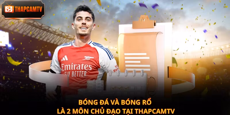 Bóng đá và bóng rổ là 2 môn chủ đạo tại Thapcamtv