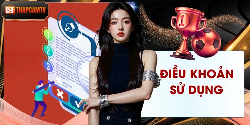 Điều Khoản Sử Dụng Thapcamtv - Nguyên Tắc Chung Cho Đôi Bên