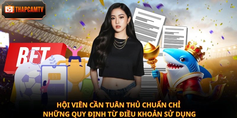 Hội viên cần tuân thủ chuẩn chỉ những quy định từ điều khoản sử dụng