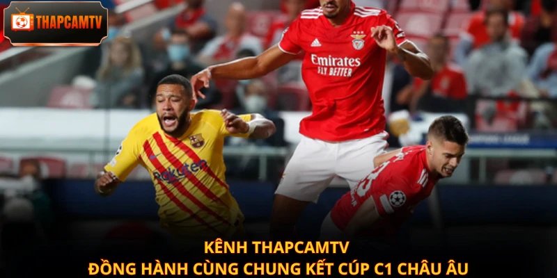 Kênh Thapcamtv đồng hành cùng chung kết Cúp C1 châu Âu