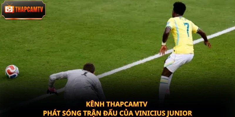 Kênh Thapcamtv phát sóng trận đấu của Vinicius Junior