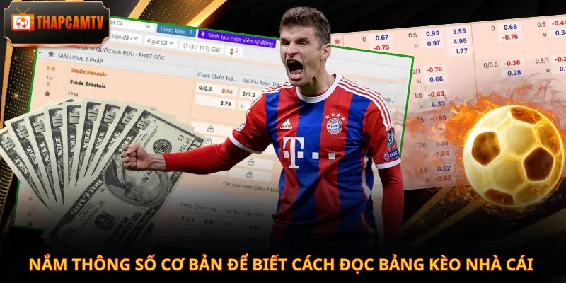 Nắm thông số cơ bản để biết cách đọc bảng kèo nhà cái