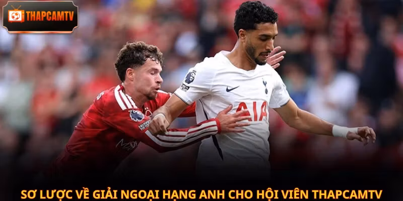 Sơ lược về giải Ngoại hạng Anh cho hội viên Thapcamtv