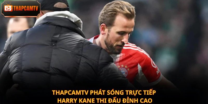 Thapcamtv phát sóng trực tiếp Harry Kane thi đấu đỉnh cao