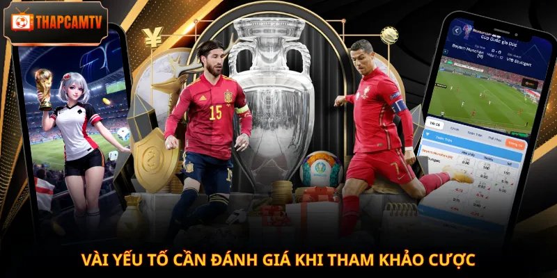Vài yếu tố cần đánh giá khi tham khảo cược