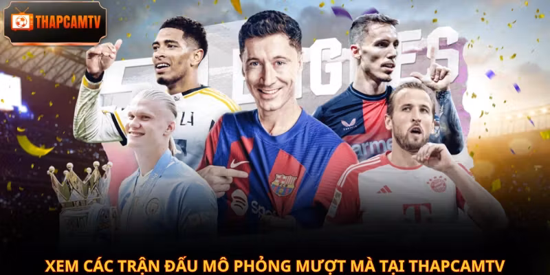 Xem các trận đấu mô phỏng mượt mà tại Thapcamtv